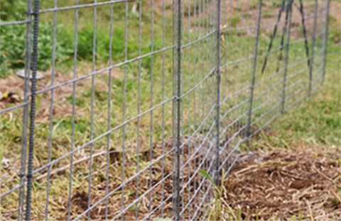 獣害防止柵としての溶接金網